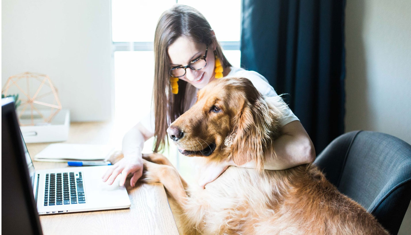 Page Government Market Sector Manager Karen Fassetta is training an intern named Finley. - Page